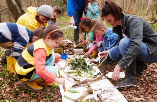 تور های درمان در طبیعت