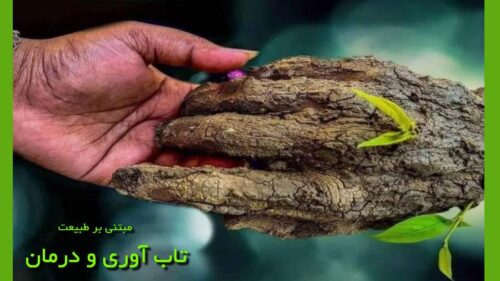 مدیتشن در طبیعت